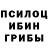 Псилоцибиновые грибы ЛСД Kristin Cook