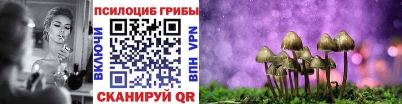 hydra ONION Кореновск Псилоцибиновые грибы прущие грибы купить