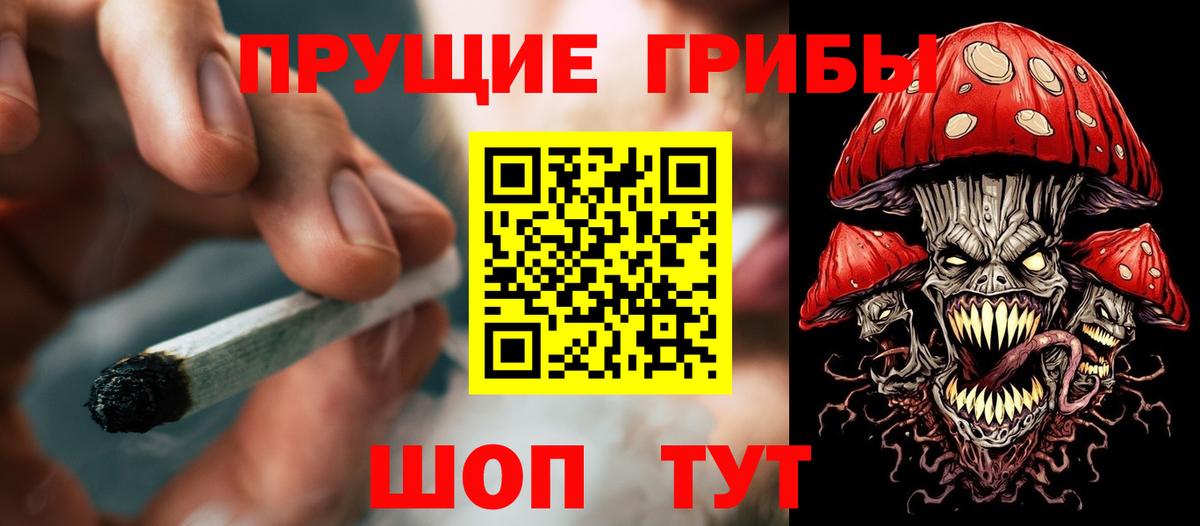 Кореновск  Псилоцибиновые грибы прущие грибы  как найти закладки  Вход с VPN 